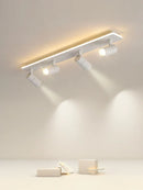GobekUsa LED Ceiling Lamp Spotlights for Living Room Bedroom Dining Indoor Lighting