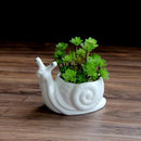 GobekUsa Cartoon Snail Flower Vase Succulent Pot for Garden Decoration