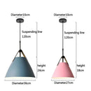 Scandinavian Painted Metal Pendant Light