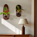 GobekUsa Glass Vase Flowerpot Wall Decoration for Home Décor and Hydroponics