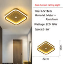 GobekUsa LED Motion Sensor Ceiling Lamp for Home - Indoor Lighting Fixtures