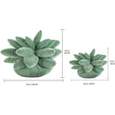 GobekUsa 3D Succulent Cactus Pillow Plush Cushion for Living Room Decor