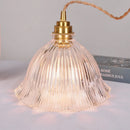 GobekUsa Clear Glass LED Pendant Light Fixture for Modern Home Decor