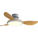 GobekUsa LED Ceiling Fan with Remote Control, Modern Design, Low Energy Consumption