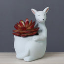 GobekUsa Kangaroo Cartoon Ceramic Flower Pot Vase for Cactus Succulents and Plants