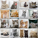 GobekUsa Bubble Black Cats Cat Pillow Cases Sofa Home Decor Custom Cushion Cover