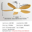 GobekUsa Black DC Ceiling Fan Light Strong Wind Indoor Electric Fan 2023
