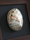 GobekUsa Conch Shell Decorative Painting Frame Pendant Wall Ornaments