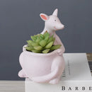GobekUsa Kangaroo Cartoon Ceramic Flower Pot Vase for Cactus Succulents and Plants