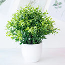 GobekUsa Artificial Mini Plant Bonsai Greening Potted Desktop Simulation Green Plant