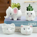 GobekUsa Animal Cartoon Ceramic Flowerpot for Nursery Planting - Cute Rabbit Elephant Sheep Octopus