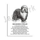 GobekUsa Dog Breeds Poster: Chinese Crested, Chesapeake Retriever, Brussels Griffon, + More