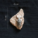 GobekUsa Fossil Series Art Refrigerator Stickers: Fish Bone Beetle Marine Insect Specimen