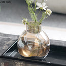 GobekUsa Amber Glass Vase Desk Decoration Round Floral Room Decor