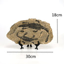 GobekUsa Dino Fossil Resin Craft: Retro Animal Statue, Indoor Living Room Decor & Gift