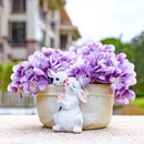 GobekUsa Bunny Succulent Planter Pot for Garden and Patio Decor