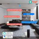 GobekUsa LED Magnetic Track Light Dimmable Bluetooth Control Grille Spot Lighting