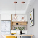 GobekUsa Industrial Metal Cage Pendant Lamp for Home Lighting