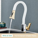 GobekUsa Black Brass Kitchen Faucet with Digital Temperature Display & Dual Water Sprayer