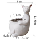 GobekUsa Kangaroo Cartoon Ceramic Flower Pot Vase for Cactus Succulents and Plants