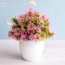 GobekUsa Artificial Bonsai Tree Potted Plant for Home, Hotel & Garden Decor