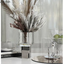 GobekUsa Crystal Clear Glass Vase for Potted Plants and Floral Arrangements