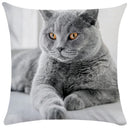 GobekUsa Bubble Black Cats Cat Pillow Cases Sofa Home Decor Custom Cushion Cover