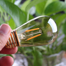 GobekUsa LED Filament Bulb 3W ST45 Gold Dimmable E26 E27 2200K Indoor Decorative
