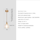Nordic Glass Pendant Light in Brown and Polished Chrome