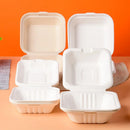 GobekUsa Biodegradable Dessert Box Set: 5Pcs Microwave Disposable Food Container