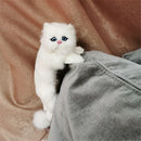 GobekUsa Hanging Cat Plush Doll Figurine Home Decoration Model