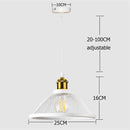GobekUsa Black Iron Net-Cage Kitchen Pendant Light with LED for Bedroom & Living Room