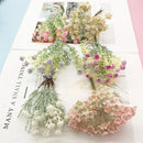 GobekUsa Artificial Succulent Tree for Home Décor and Events