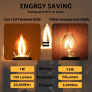 GobekUsa 1W LED Filament Edison Candle Light Bulb 2200K Dimmable Gold Glass