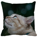GobekUsa Bubble Black Cats Cat Pillow Cases Sofa Home Decor Custom Cushion Cover
