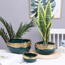 GobekUsa Golden Edge Succulent Flower Pot Vase - Indoor Ceramic Planter Pot