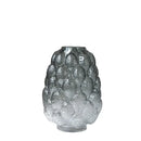 GobekUsa Gradient Glass Vase for Home Decor & Hydroponic Flowers