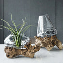 GobekUsa Glass Bonsai Vase Hydroponic Pots Art Wooden Frame Home Decoration