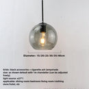 Smoky Gray Glass Globe Pendant Light With Iron Finish