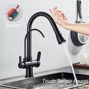 GobekUsa Dual Handle Kitchen Faucet with Black Touch Sensor and Three Modes