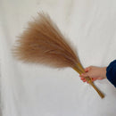 GobekUsa Fluffy Pampas Grass Boho Decor Pampas Grass.