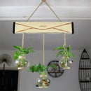 GobekUsa Glass Planter Vase with Wooden Stand for Wall Hanging Display