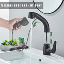 GobekUsa Black Lift Basin Faucet with Pull Out Sprayer for Bathroom Sink - Dual Nozzle