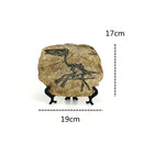 GobekUsa Dino Fossil Resin Craft: Retro Animal Statue, Indoor Living Room Decor & Gift