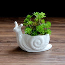 GobekUsa Cartoon Snail Flower Vase Succulent Pot for Garden Decoration