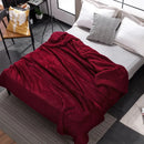 GobekUsa Cozy Plush Blanket: Soft, Warm, Lightweight for Bedroom & Sofa All Seasons
