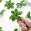 GobekUsa Artificial Rose Flowers Leaf for DIY Wreaths and Home Decor