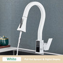GobekUsa Black Brass Kitchen Faucet with Digital Temperature Display & Dual Water Sprayer