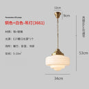 Modern Gold Glass Pendant Light