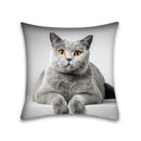 GobekUsa Cute Cat Anime Pillow Case – 45x45cm Cartoon Cushion Cover for Home and Office